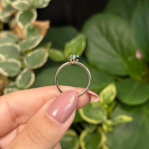 Anillo Mira Mini